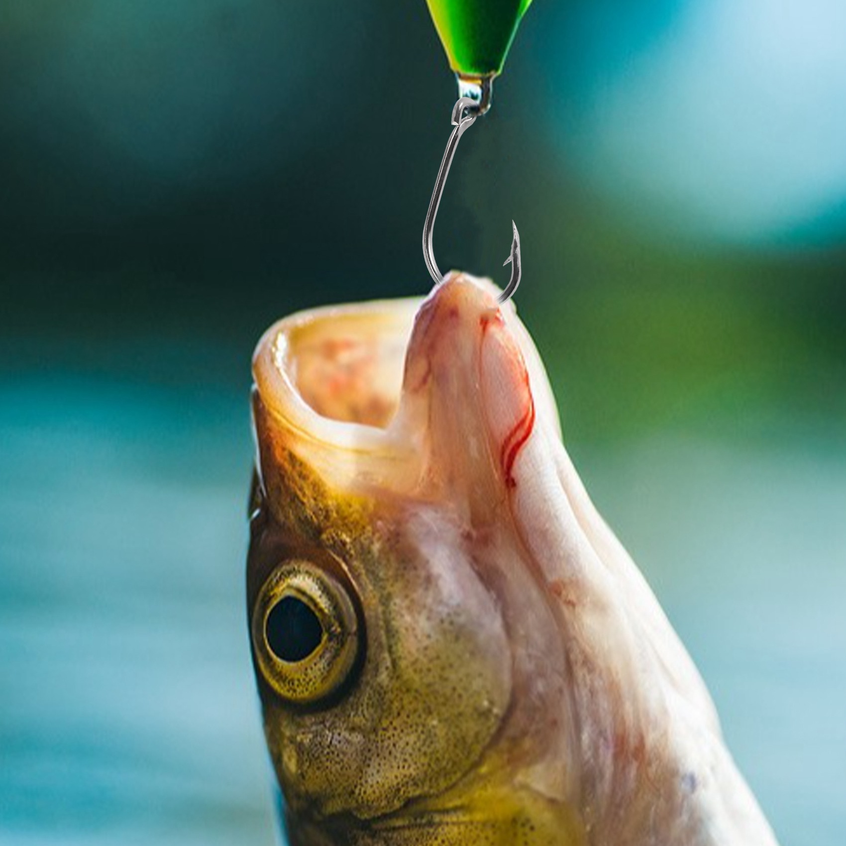 وصول جديد 500 قطعة/مجموعة بأحج - مراجعة Fishing Hook Size وسعره