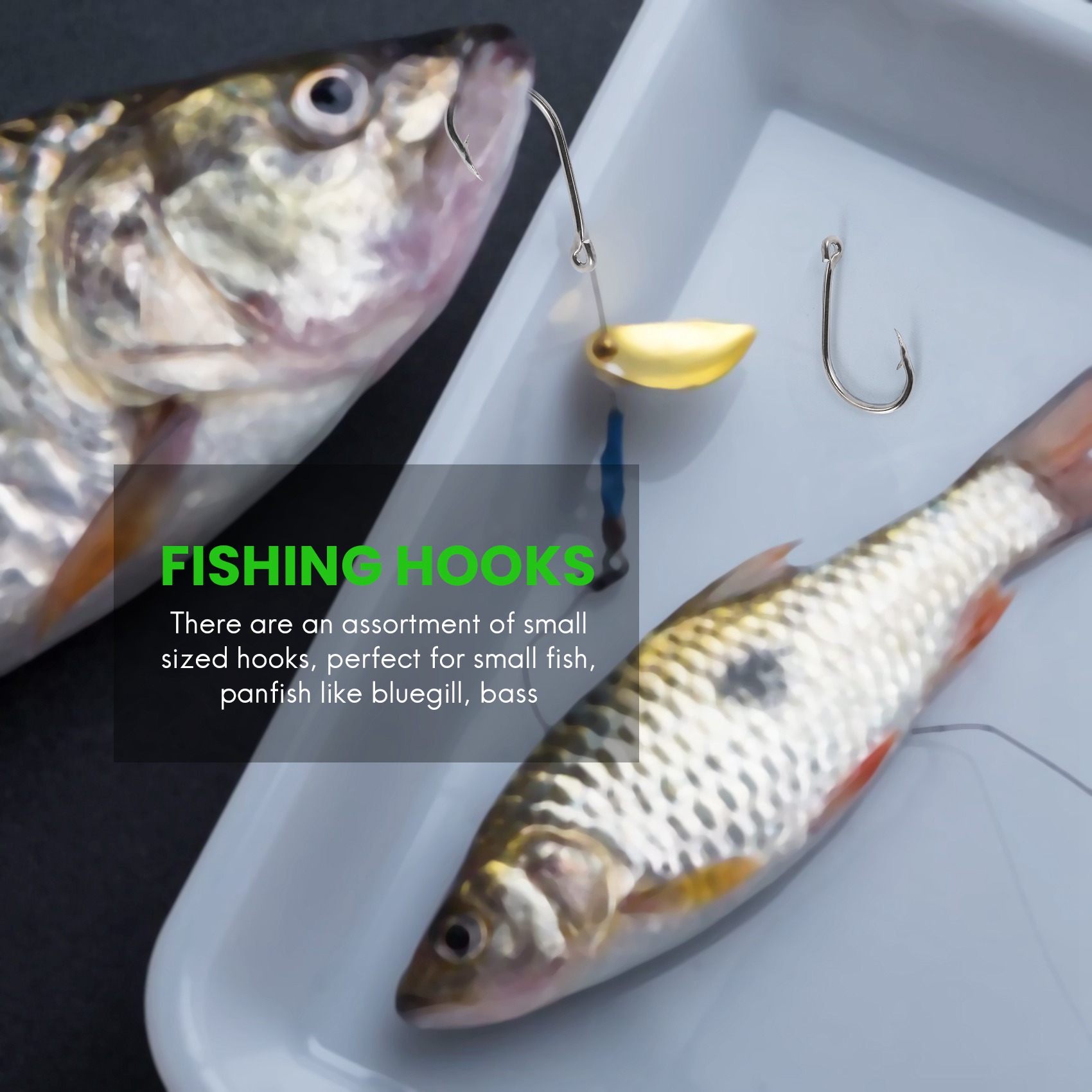 وصول جديد 500 قطعة/مجموعة بأحج - مراجعة Fishing Hook Size وسعره